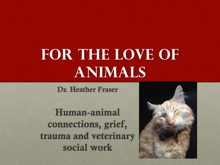 animals