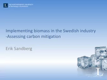 -Assessing carbon mitigation  Erik Sandberg  2  What is this about?  How much biomass is required