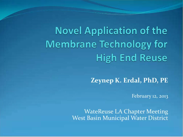 zeynep k erdal phd pe