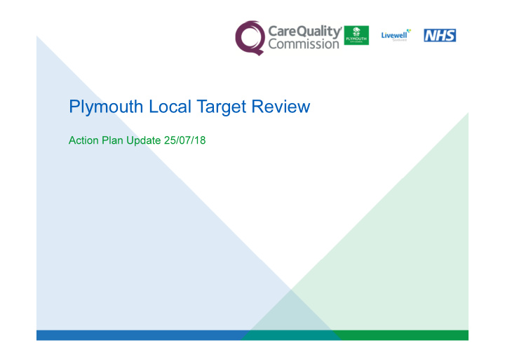plymouth local target review