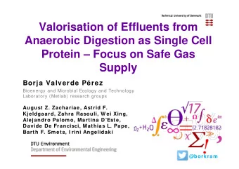 Valorisation of Effluents from  Anaerobic Digestion as Single Cell  Protein  Focus on Safe Gas