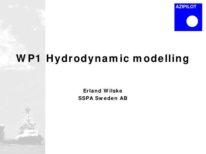 w p1 hydrodynam ic m odelling