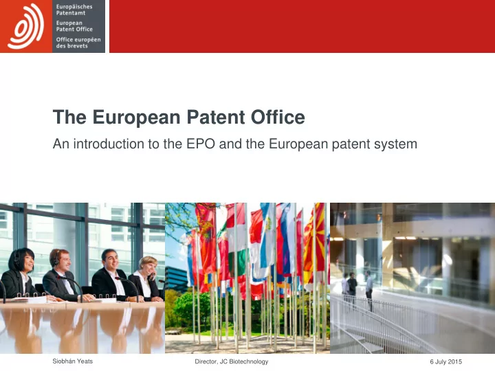the european patent office