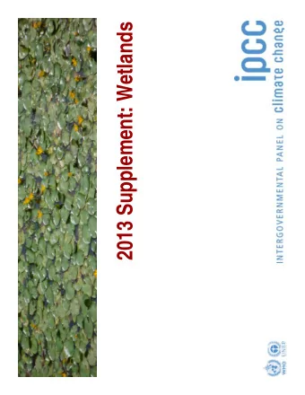2013 Supplement: Wetlands  pp  Introduction   Following the invitations to the IPCC the TFI has