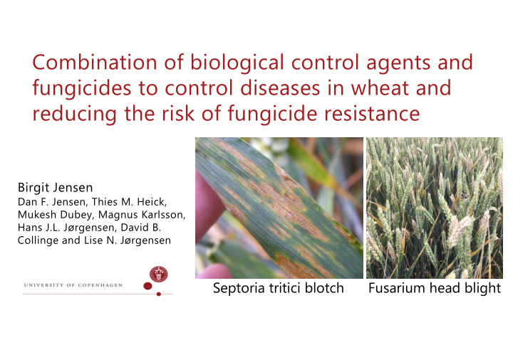 combination of biological control agents and fungicides