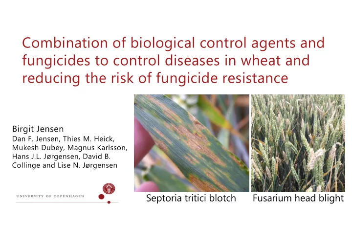 combination of biological control agents and fungicides