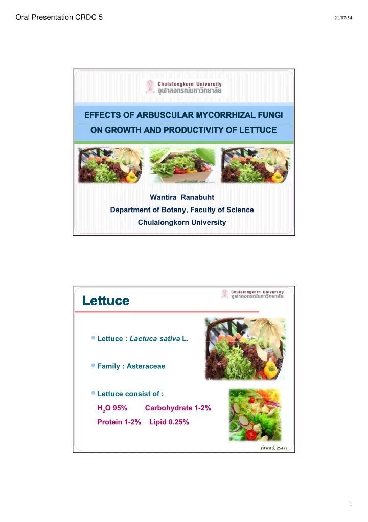 lettuce lettuce lettuce lettuce