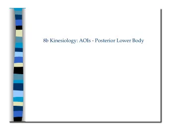 8b Kinesiology: AOIs - Posterior Lower Body 8b Kinesiology: AOIs - Posterior Lower Body  Class