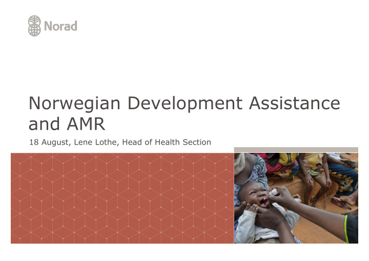norwegian development assistance and amr