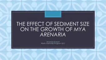 THE EFFECT OF SEDIMENT SIZE ON THE GROWTH OF MYA  C  ARENARIA  Amanda Everett  PEARL Internship