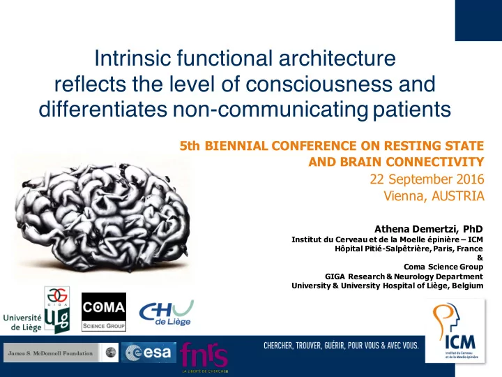 intrinsic functional architecture reflects the level of