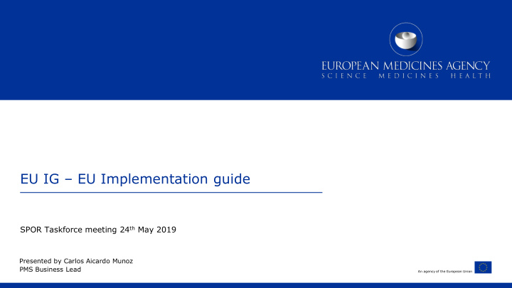 eu ig eu implementation guide