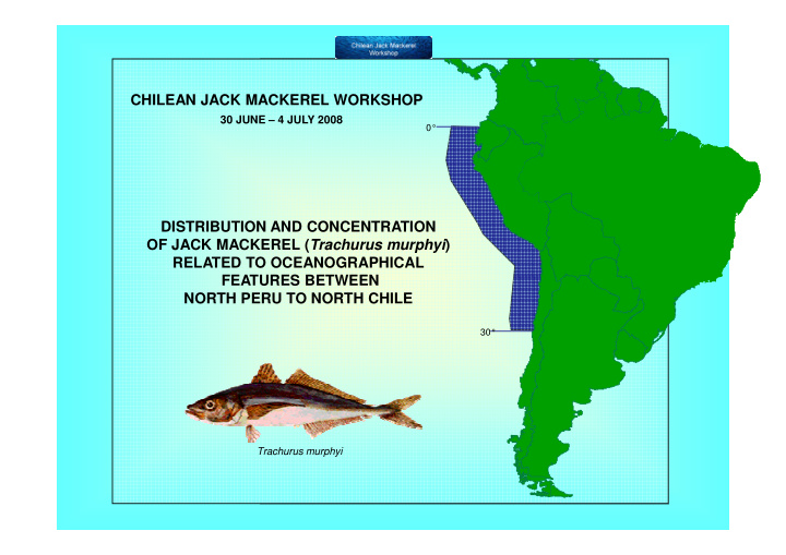 chilean jack mackerel workshop