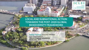 TOWARDS THE POST-2020 GLOBAL  BIODIVERSITY FRAMEWORK Rodrigo Perptuo | Executive Secretary  ICLEI