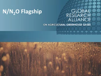 N/N 2 O Flagship  Task Force and project authors United Kingdom  Luke Spadavecchia  Brazil -