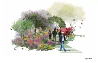 Lydia Oweis  HABITAT  ATTRACTED  large marble  butterfly  anas  hummingbird  sara  mountaingem