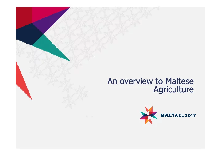an overview to maltese an overview to maltese an overview