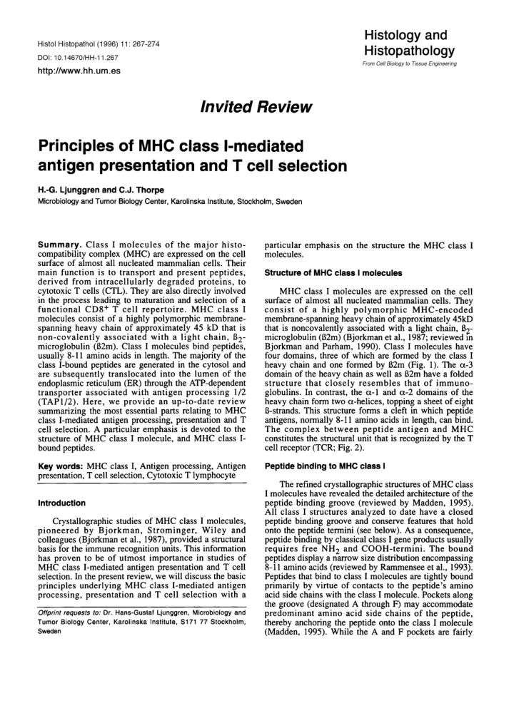 invited review principles of mhc class i mediated antigen