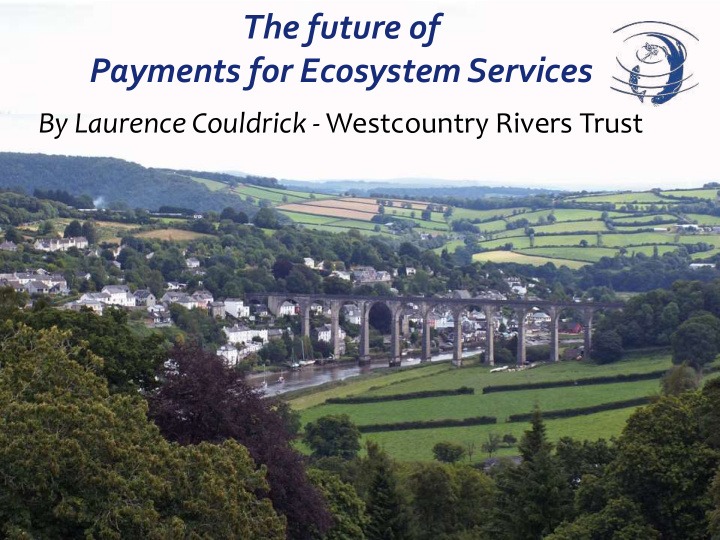 the future of payments for ecosystem services