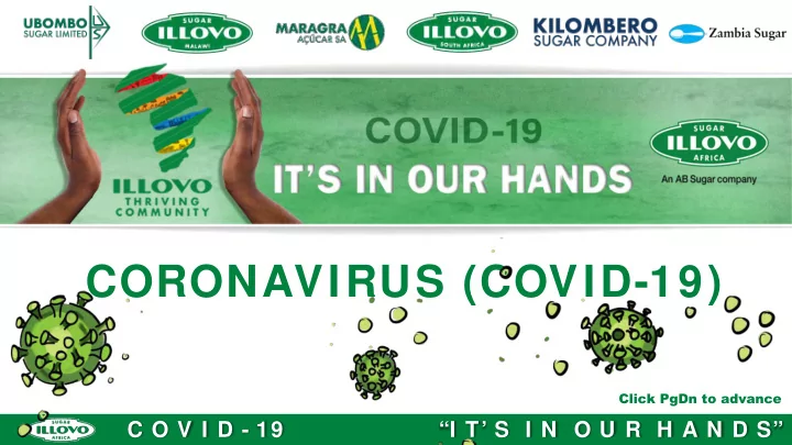 coronavirus covid 19