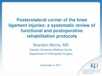 Posterolateral corner of the knee  ligament injuries: a systematic review of  functional and