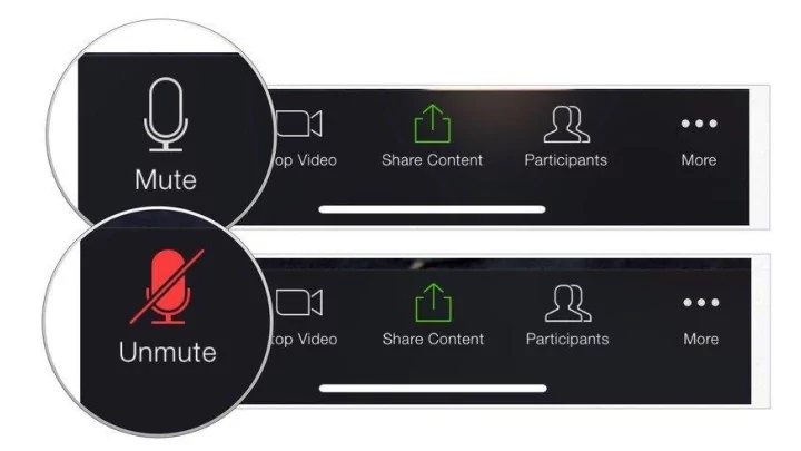 share in the chat box