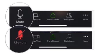 Share in the chat box:  Links to useful articles,  websites, or documents.  Prayer concerns