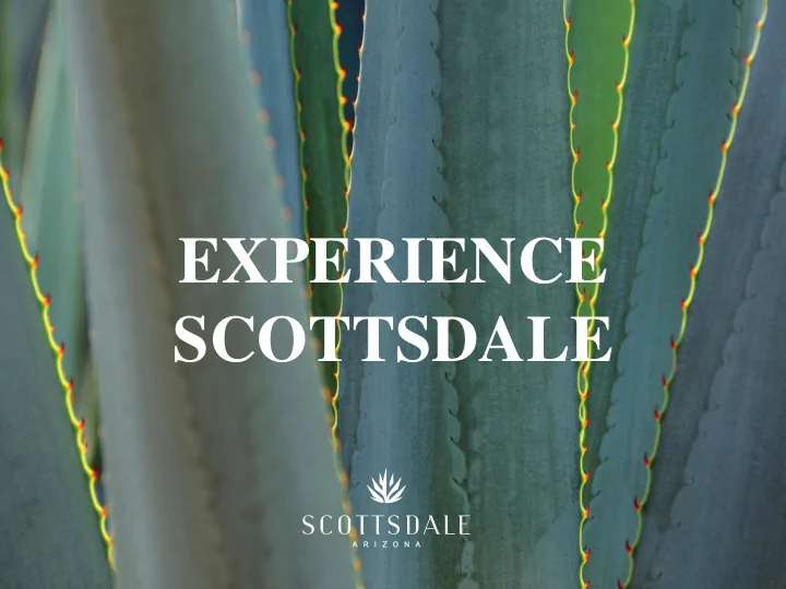 experience