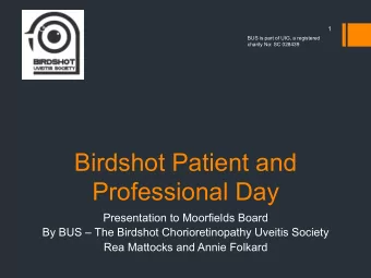 Birdshot Patient and  Professional Day  Presentation to Moorfields Board  By BUS  The Birdshot