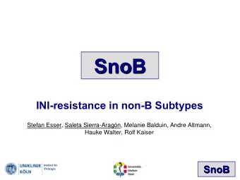 SnoB  SnoB  INI-resistance in non-B Subtypes  Stefan Esser, Saleta Sierra-Aragn, Melanie Balduin,