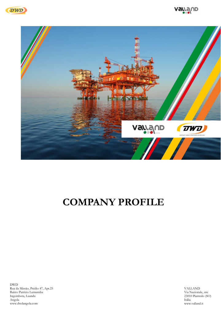 company profile