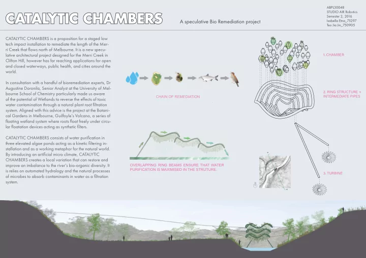 catalytic chambers catalytic chambers