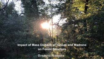 Breanna Rodgers  Introduction  Arbutus menziesii  Notholithocarpus densiflorus  Wikimedia commons