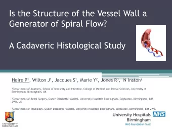 Is the Structure of the Vessel Wall a  Generator of Spiral Flow?  A Cadaveric Histological Study