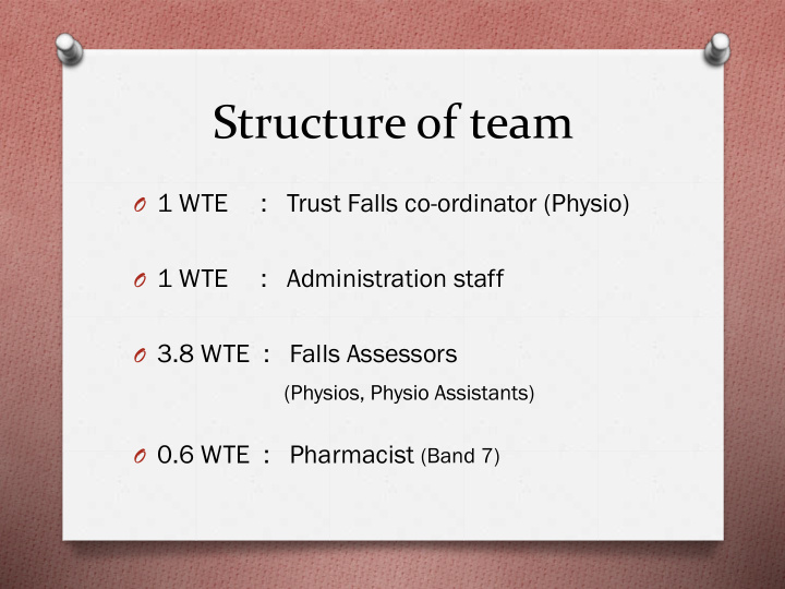 structure of team