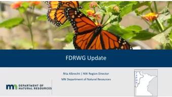 FDRWG Update  Rita Albrecht | NW Region Director  MN Department of Natural Resources  Flood Damage