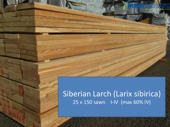 Siberian Larch (Larix sibirica)  25 x 150 sawn    I-IV  (max 60% IV)