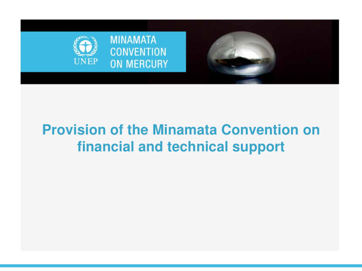 provision of the minamata convention on financial and