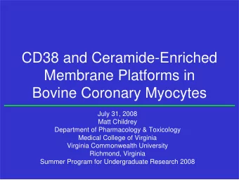 CD38 and Ceramide-Enriched  Membrane Platforms in  Bovine Coronary Myocytes  July 31, 2008  Matt