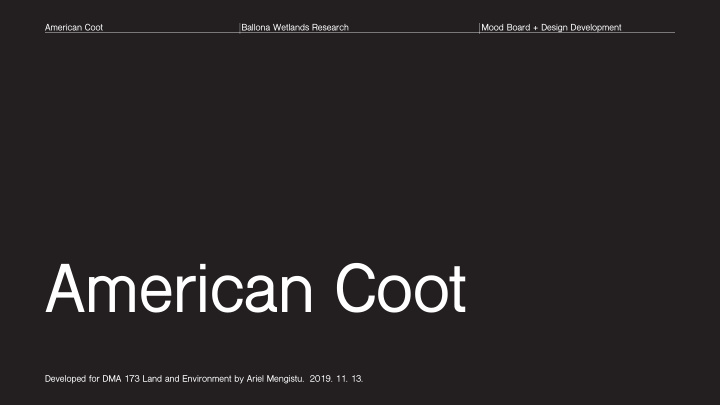 american coot