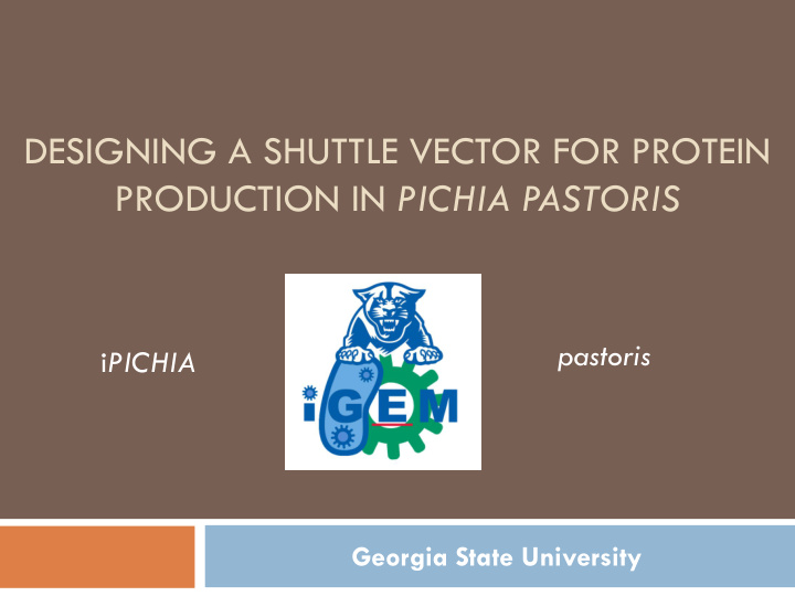 designing a shuttle vector for protein production in