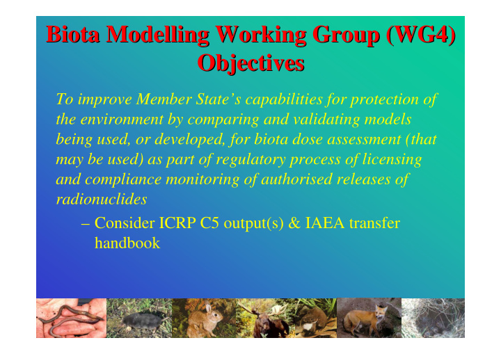 biota modelling working group wg4 biota modelling working