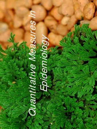 Quantitative Measures in  Epidemiology  DEFINITION OF EPIDEMIOLOGY  The study of the