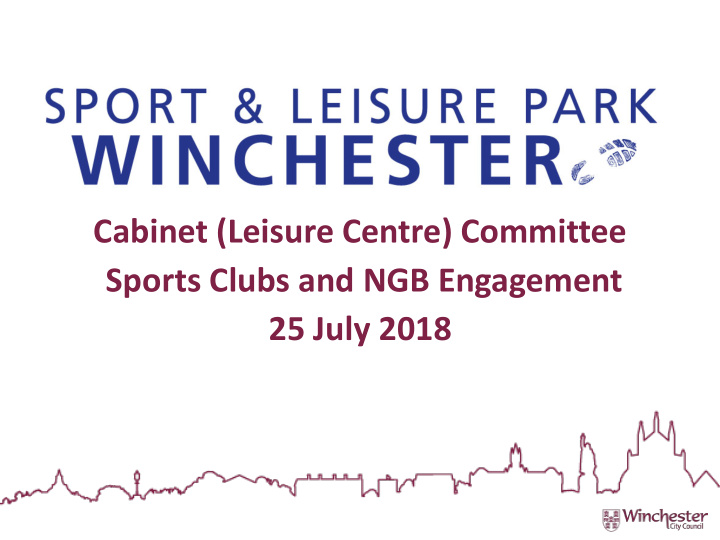 cabinet leisure centre committee sports clubs and ngb