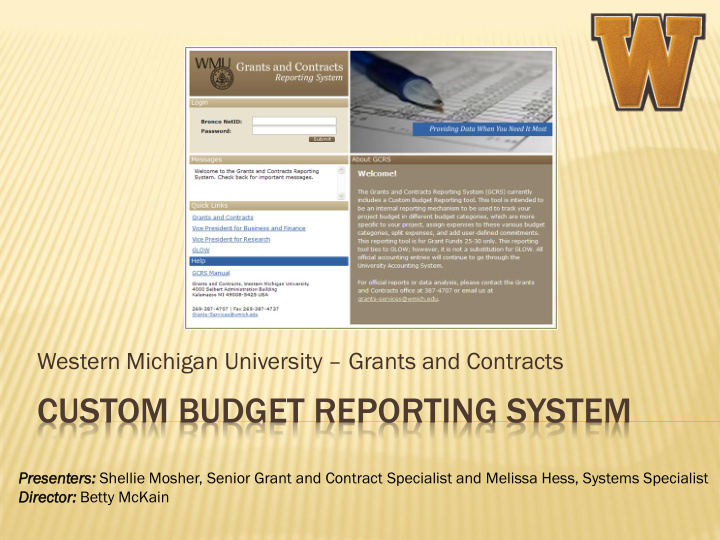 custom budget reporting system