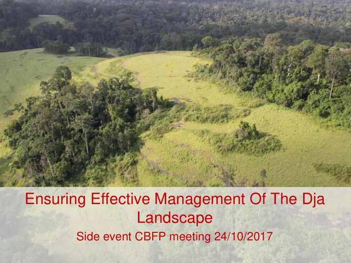 ensuring effective management of the dja