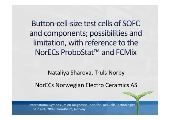 Nataliya Sharova, Truls Norby  NorECs Norwegian Electro Ceramics AS  International Symposium on