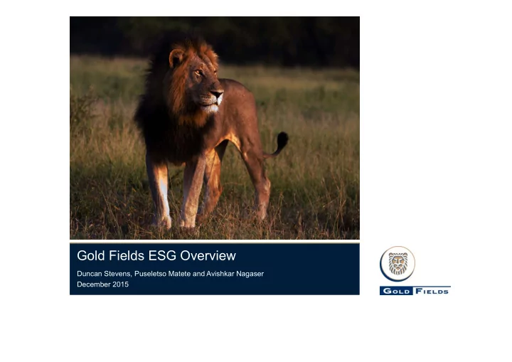 gold fields esg overview