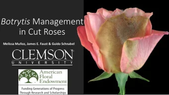 Botrytis Management  in Cut Roses  Melissa Muoz, James E. Faust &amp; Guido Schnabel  Ph.D.