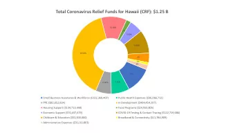 Total Coronavirus Relief Funds for Hawaii (CRF): $1.25 B  10.80%  2%  5.60%  9.80%  39.50%  4%  1%